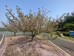 -宜兴龙背山森林公园