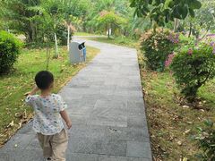 -攀枝花公园