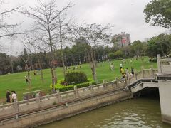 -顺峰山公园