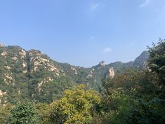 -大岭沟猕猴桃谷风景区