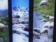 -阿西娅食府(中关村店)