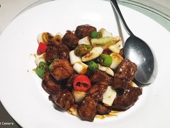 -羲和雅苑•北京烤鸭(陆家嘴中心店)