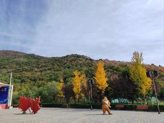 -北京十三陵国家森林公园蟒山景区