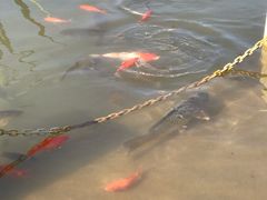 -映月湖公园