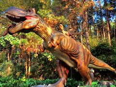 -森波拉奇妙世界