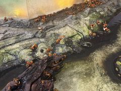 -正佳雨林生态植物园