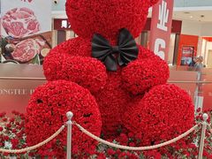 -皇庭广场(福华三路店)