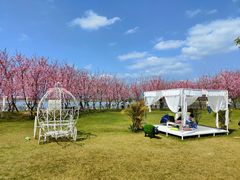 -福建鲤鱼洲酒店