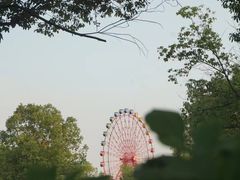 -成都南湖公园