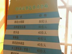 -白洋淀景区
