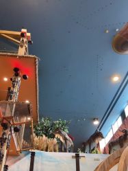 -卡通尼·Safari非洲探索乐园·生日会(金桥国际商业广场店)