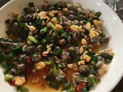 -大树下饭店(春晓镇慈岙社区卫生服务站南)