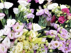 -ChaKo Flora ·茶子花艺 (市北店)