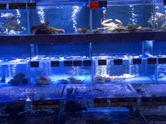 -德兴show鲜·蒸汽海鲜火锅餐厅(格创悦里店)