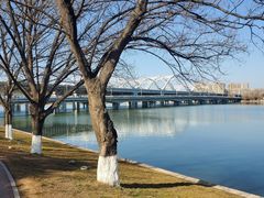 -灞河西岸滨河公园