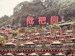 -枇杷园食为鲜火锅(南山店)