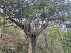 -丹山赤水风景名胜区