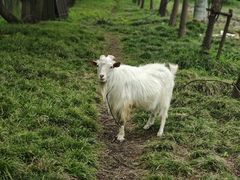 -广富林郊野公园