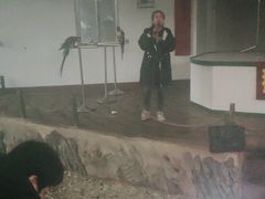 -南戴河国际娱乐中心