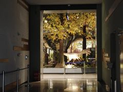 -湖南省地质博物馆