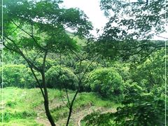 -嵛山岛