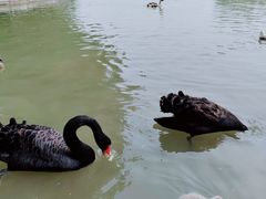 -洛阳市隋唐城遗址植物园