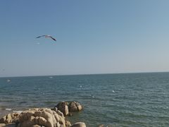 -老虎石海上公园