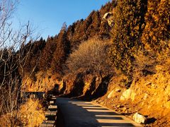 -府君山公园
