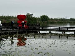 -宁波杭州湾国家湿地公园
