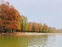 -四明湖