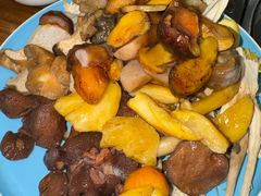 -菌之家·专业纯野生菌火锅·特色炒菌