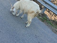 -百花人家(清水田园店)