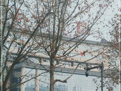 -西京医院
