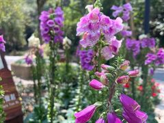 -广州白江湖森林公园