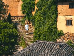-杨家堂村