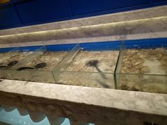 -火锅岛潮牌自助餐厅(天津天佑城店)