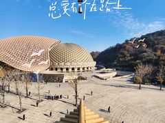 -牛首山文化旅游区