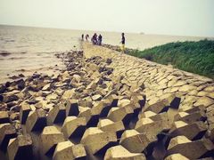 -瀛洲公园