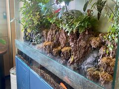 -pd派德宠物中心医院24H急重症·眼科中心·血液透析中心(嵩山北路店)