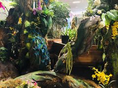 -昆明花之城豪生酒店·美食广场