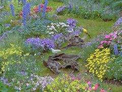 -上海共青森林公园