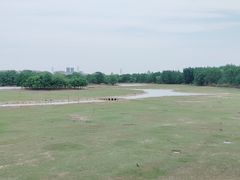 -北京麋鹿生态实验中心