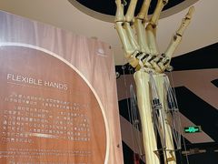 -宁波科学探索中心