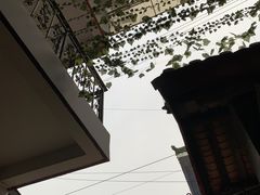 -茅屋大酒店
