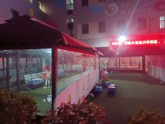 -陕西省小天鹅艺术团