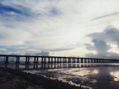 -宝安西湾红树林湿地公园