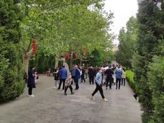 -大槐树寻根祭祖园