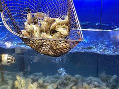 -东江海鲜大排档·潮汕菜·砂锅粥