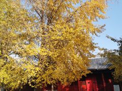 -大钟寺古钟博物馆