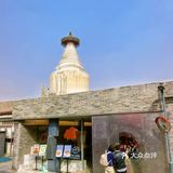 白塔寺独一份，这家面包店我一周去了5️⃣次！